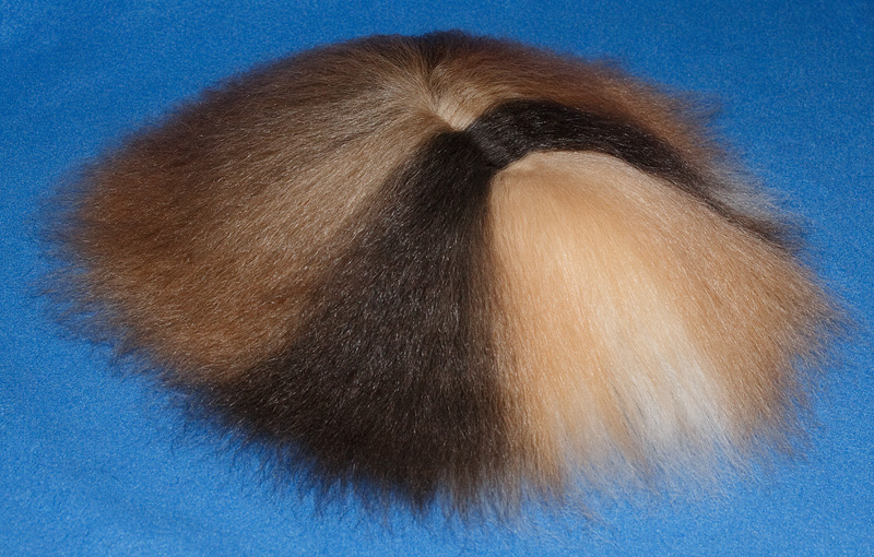Aplaca Golden Agouti/Golden/White